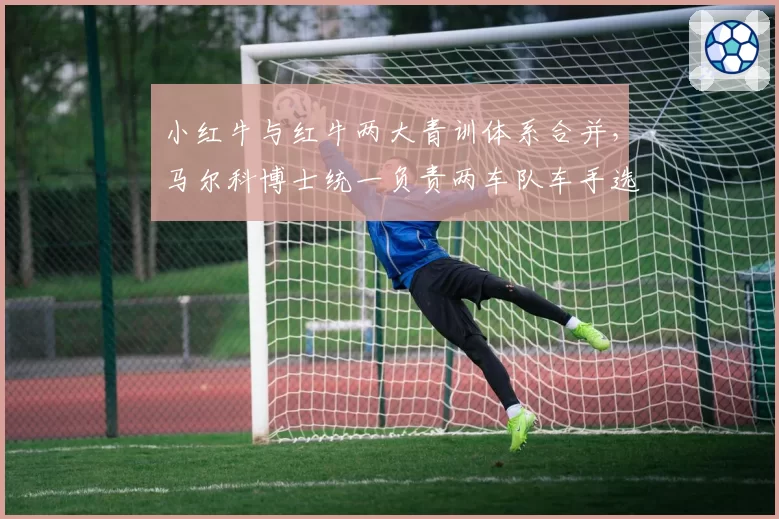 小红牛与红牛两大青训体系合并,马尔科博士统一负责两车队车手选拔