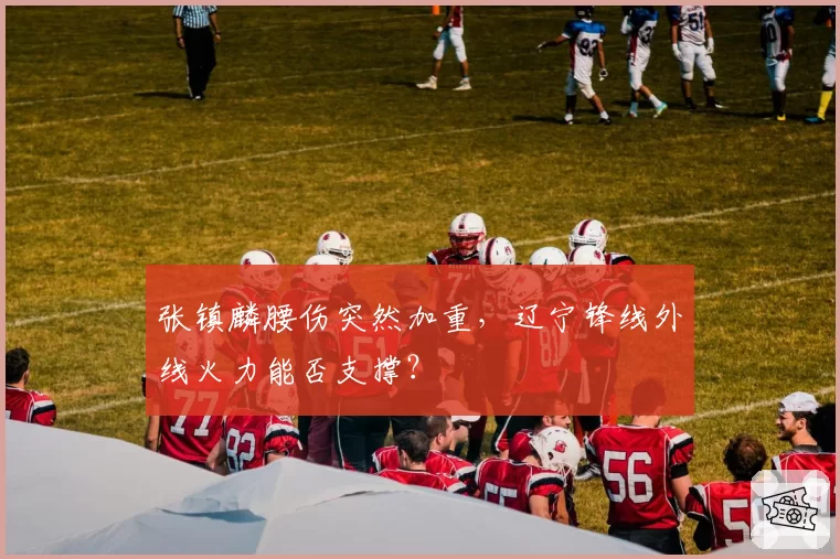 张镇麟腰伤突然加重,辽宁锋线外线火力能否支撑?