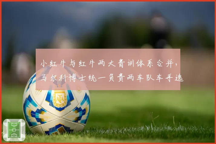 小红牛与红牛两大青训体系合并,马尔科博士统一负责两车队车手选拔