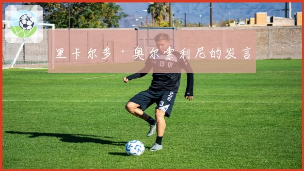 里卡尔多·奥尔索利尼的发言