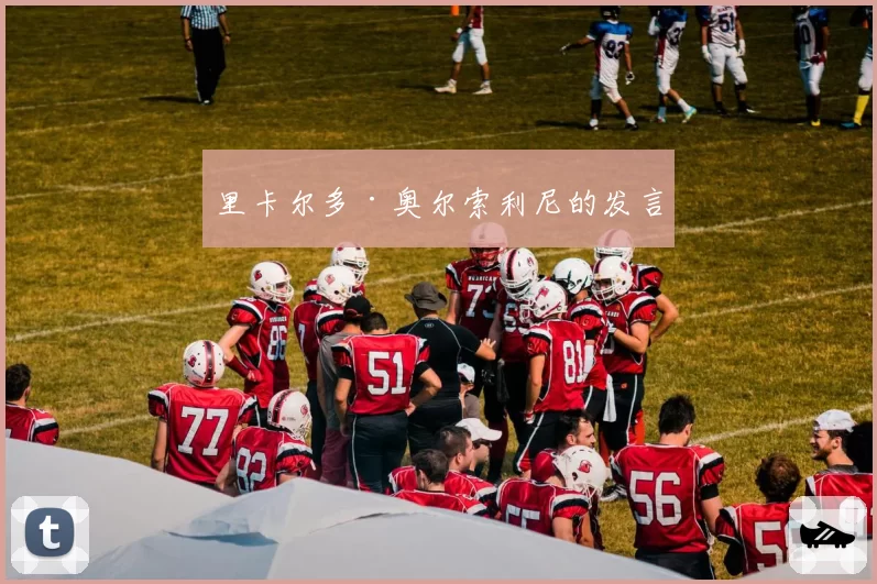 里卡尔多·奥尔索利尼的发言