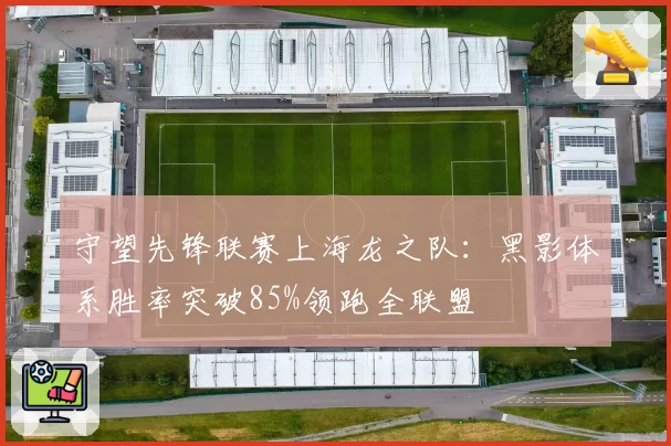 守望先锋联赛上海龙之队：黑影体系胜率突破85%领跑全联盟